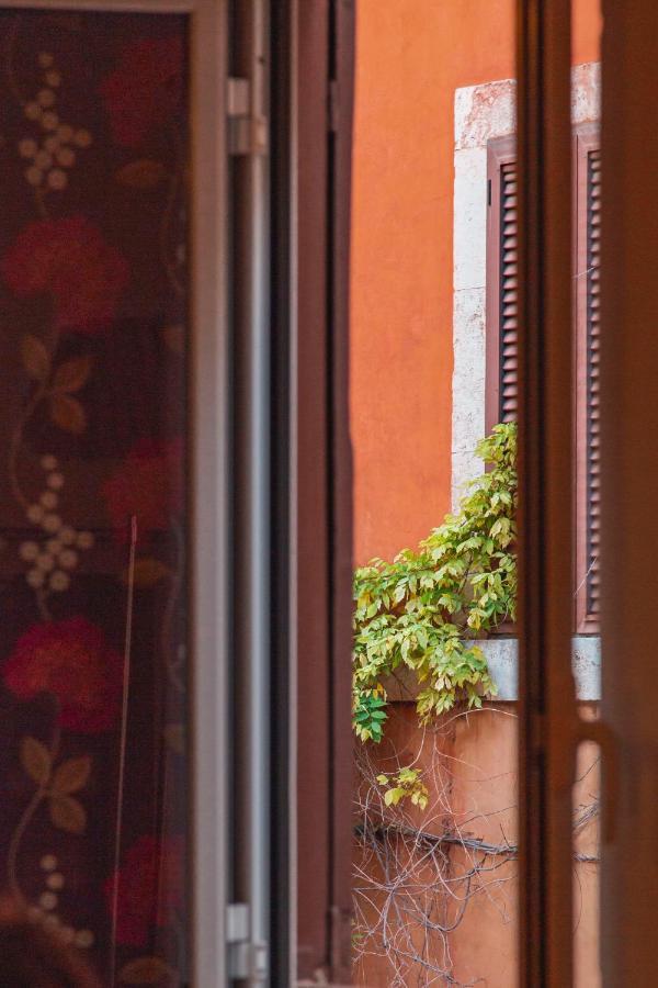 Trasteverehome - Paglia House Of 17Century In Trastevere Roma Ngoại thất bức ảnh